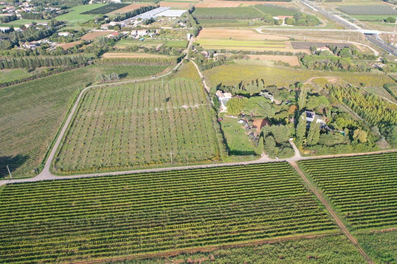 سانت أون Domaine De La Trinite Montpellier - Aeroport - Plages - Arena - Zenith المظهر الخارجي الصورة